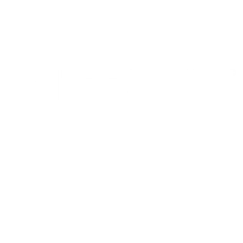 nitecore logo